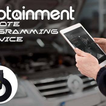 Programming Service - Remote Tablet Rental via TeamViewer